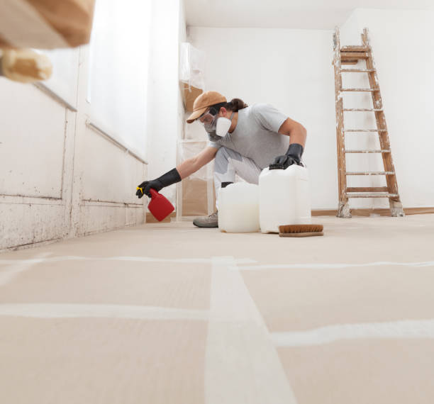 Mold Removal for HVAC Installations in Prospect Park, NJ